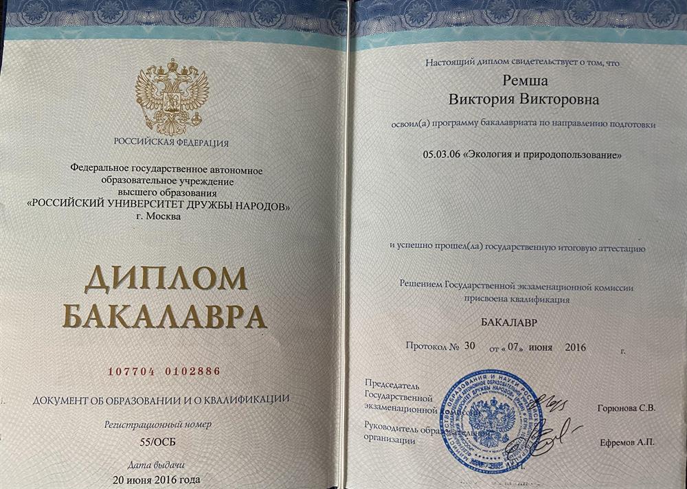 Диплом бакалавра 