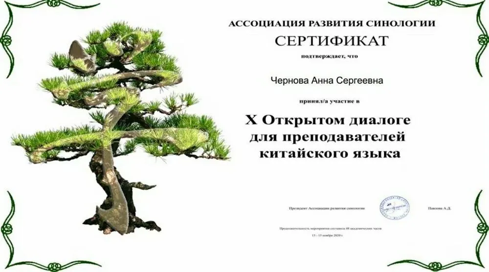 Участие в 10 Открытом диалоге для преподавателей китайского языка