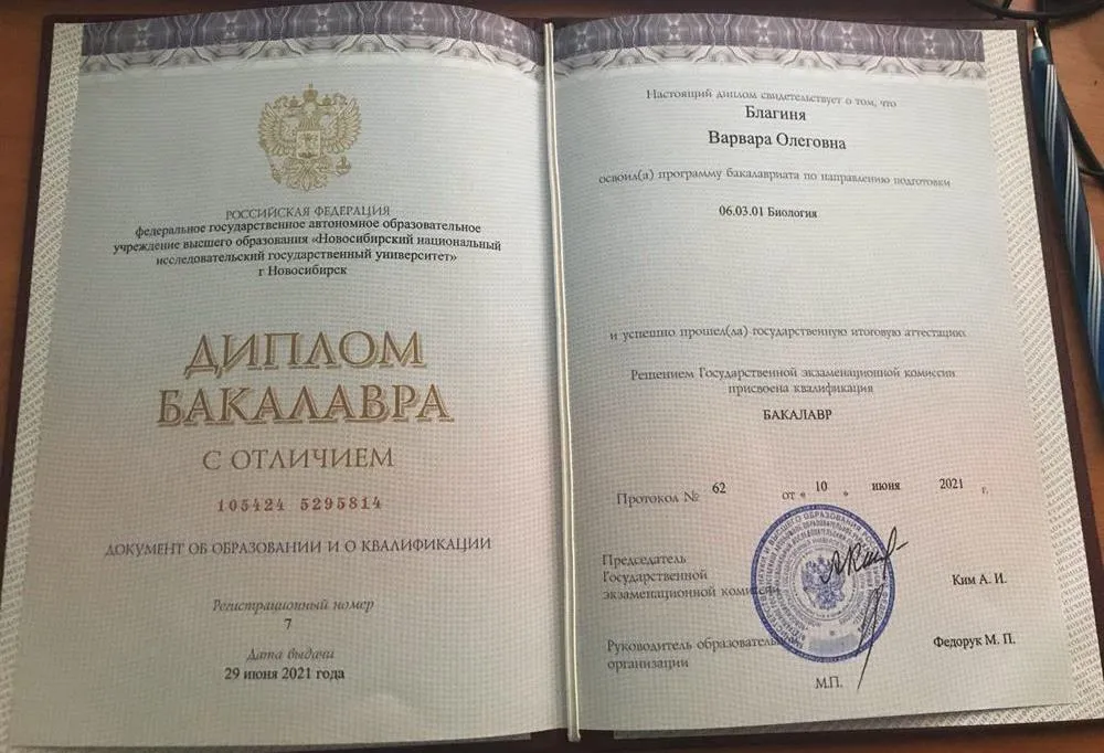 Диплом бакалавриата с отличаем