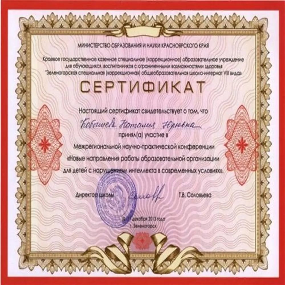 Сертификат участника Межрегиональной научно-практической конференции "Новые направления работы образовательной организации для детей с НИ в современных условиях"