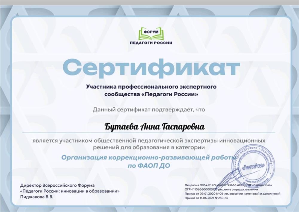 Сертификат. Организация коррекционно-развивающей работы. 