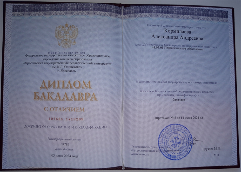 Диплом бакалавра с отличием, 2024 г.
