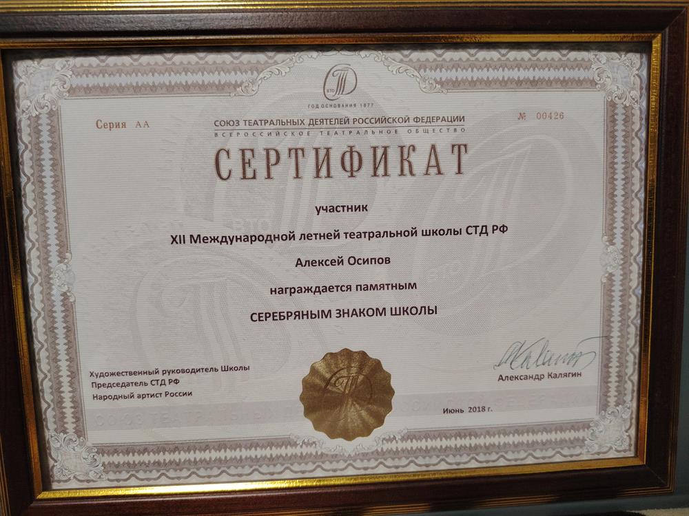 Сертификат международной летней театральной школы СТД