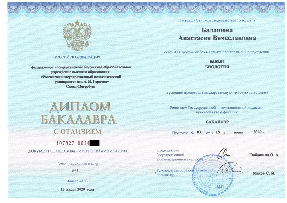 Диплом бакалавра с отличием