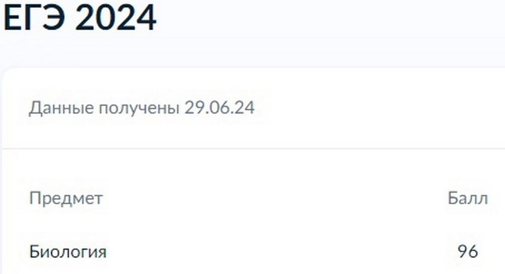 Результат ЕГЭ 2024 - 96 баллов