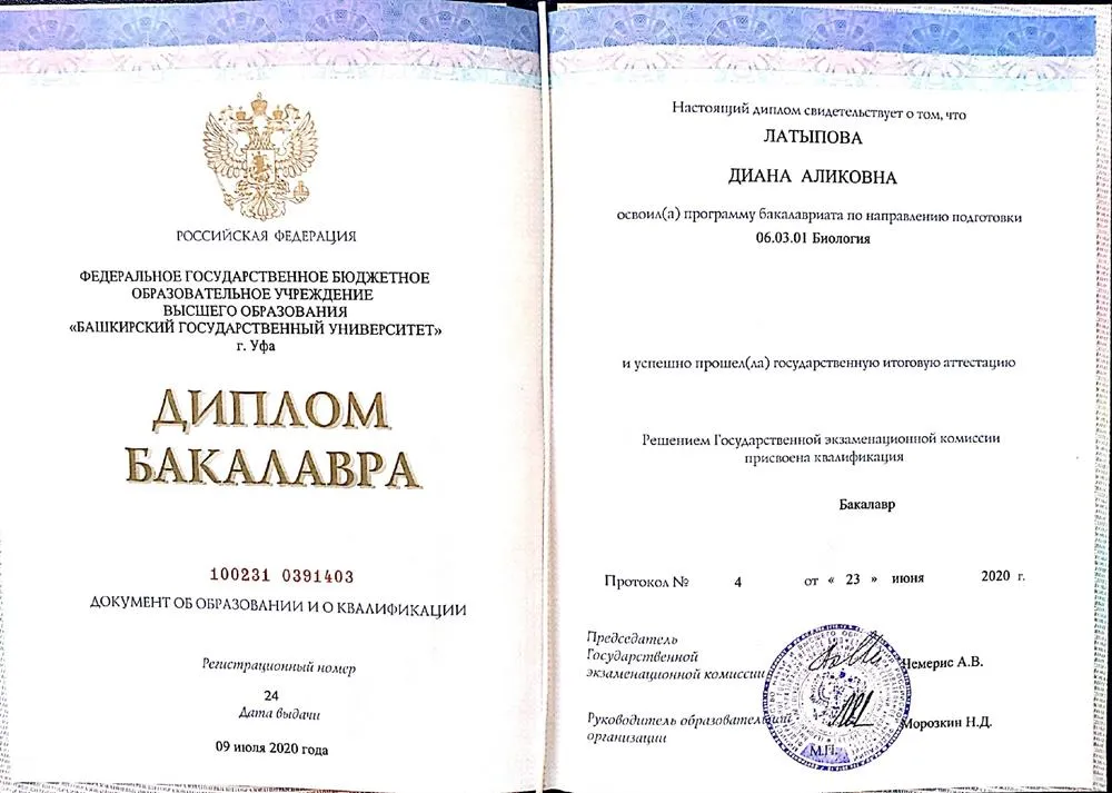 Диплом