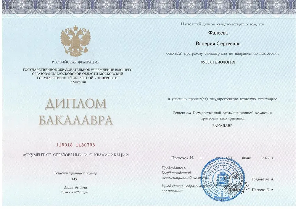 Диплом бакалавра