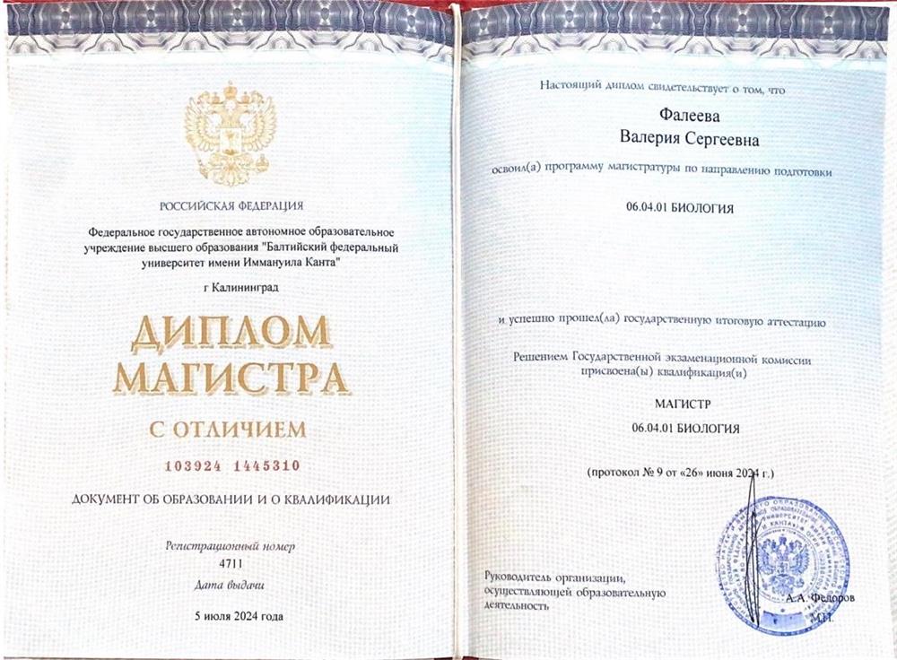 Диплом магистра