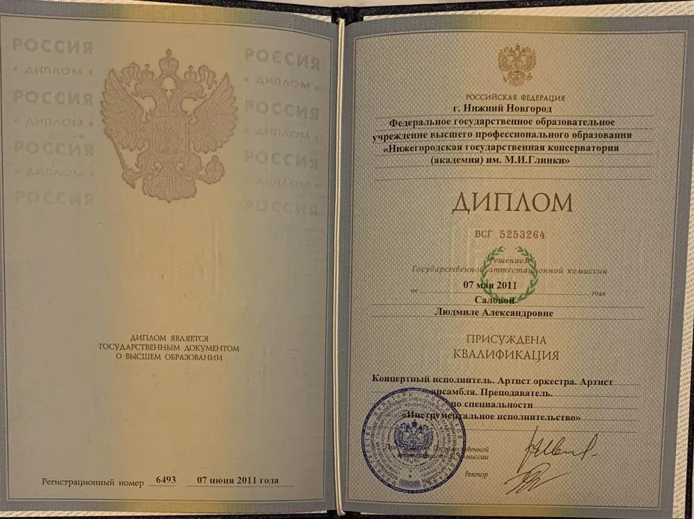 Диплом высшего профессионального образования 
