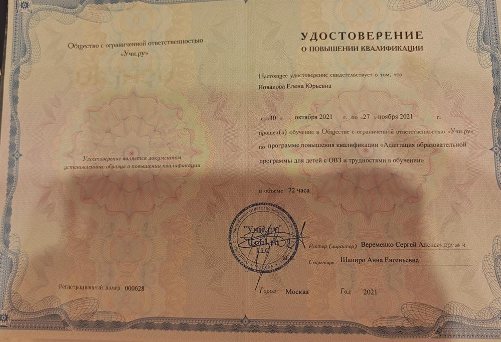 Адаптация образовательной программы для детей с ОВЗ и трудностями в обучении.