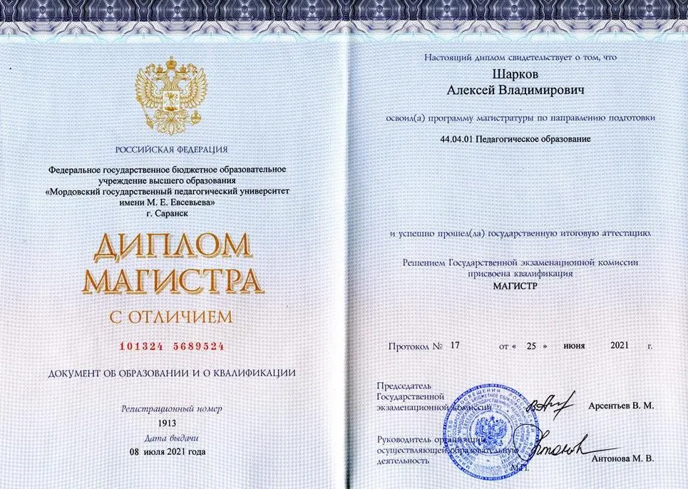 Диплом магситра