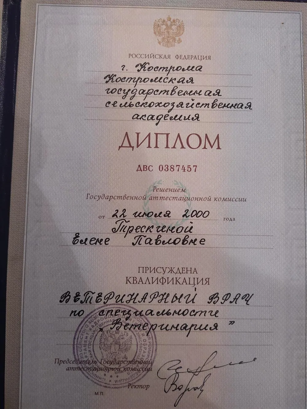 Диплом