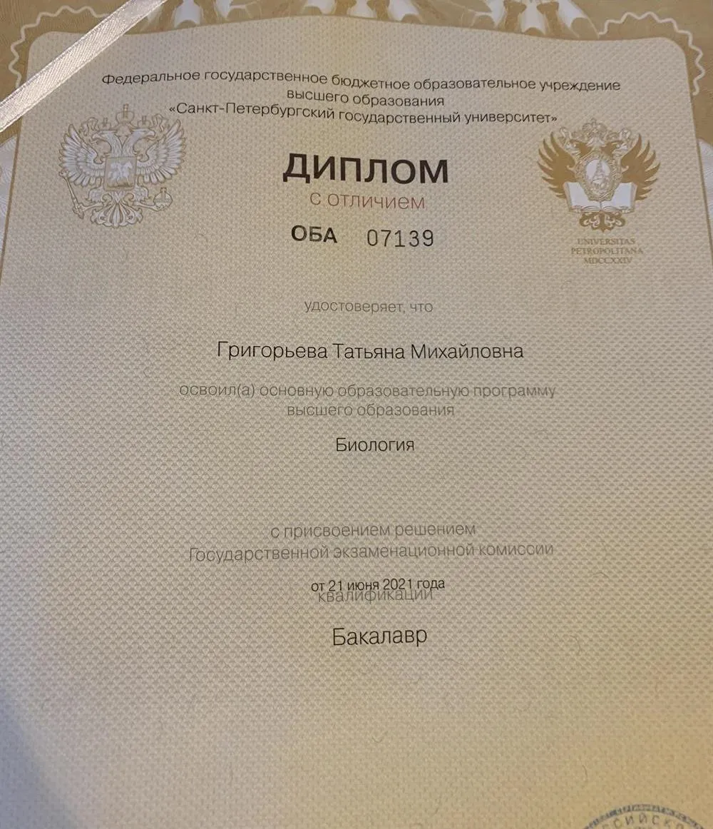 Диплом(2)