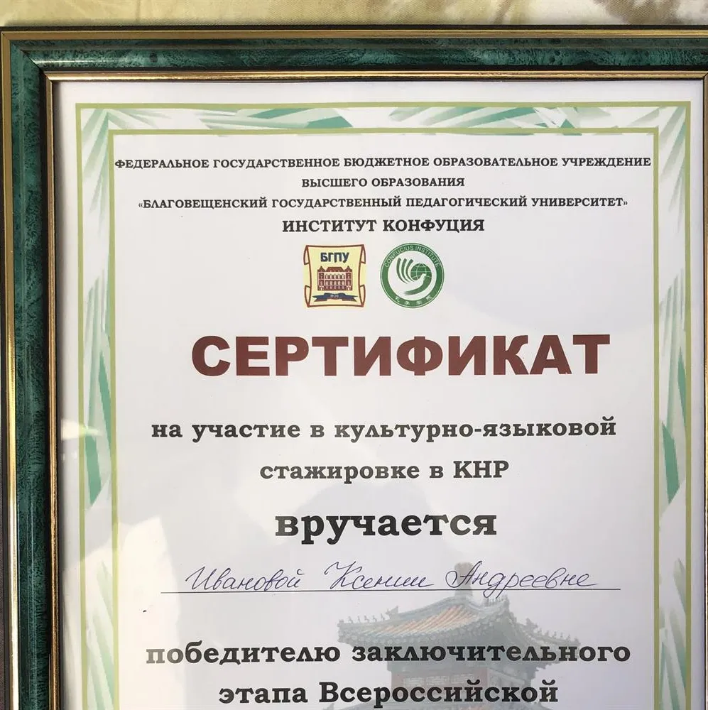 Победитель Всероссийской олимпиады 2017г.