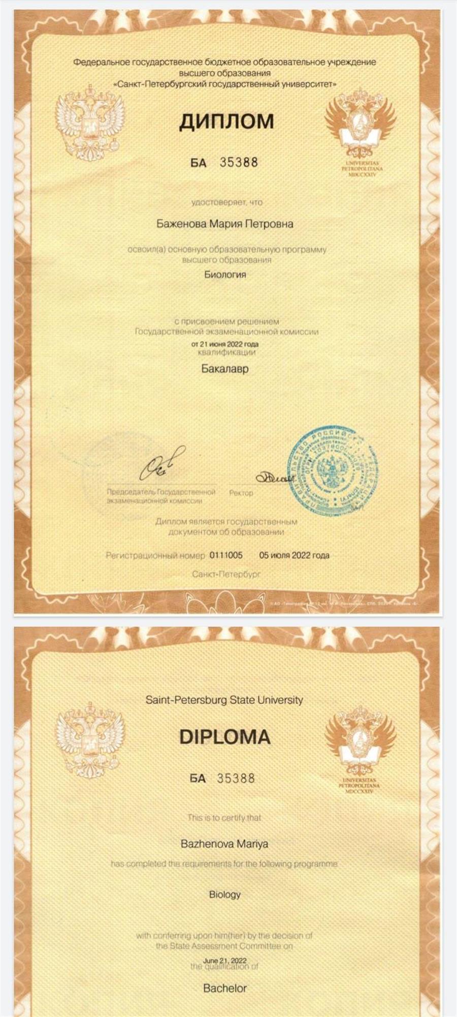 Диплом бакалавра 