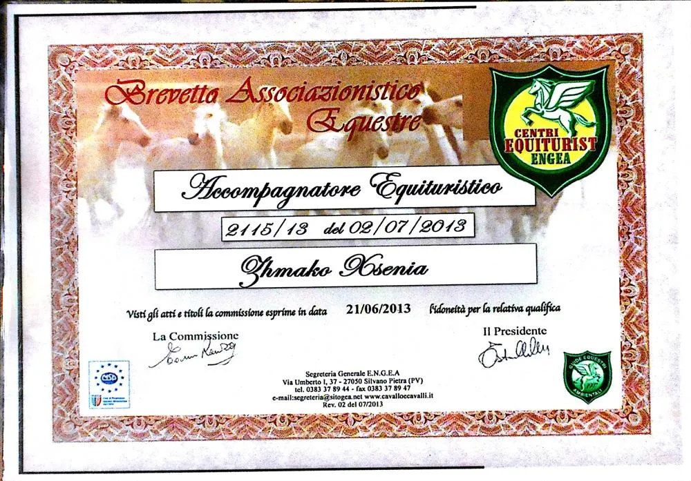 Accompagnatore equituristico
