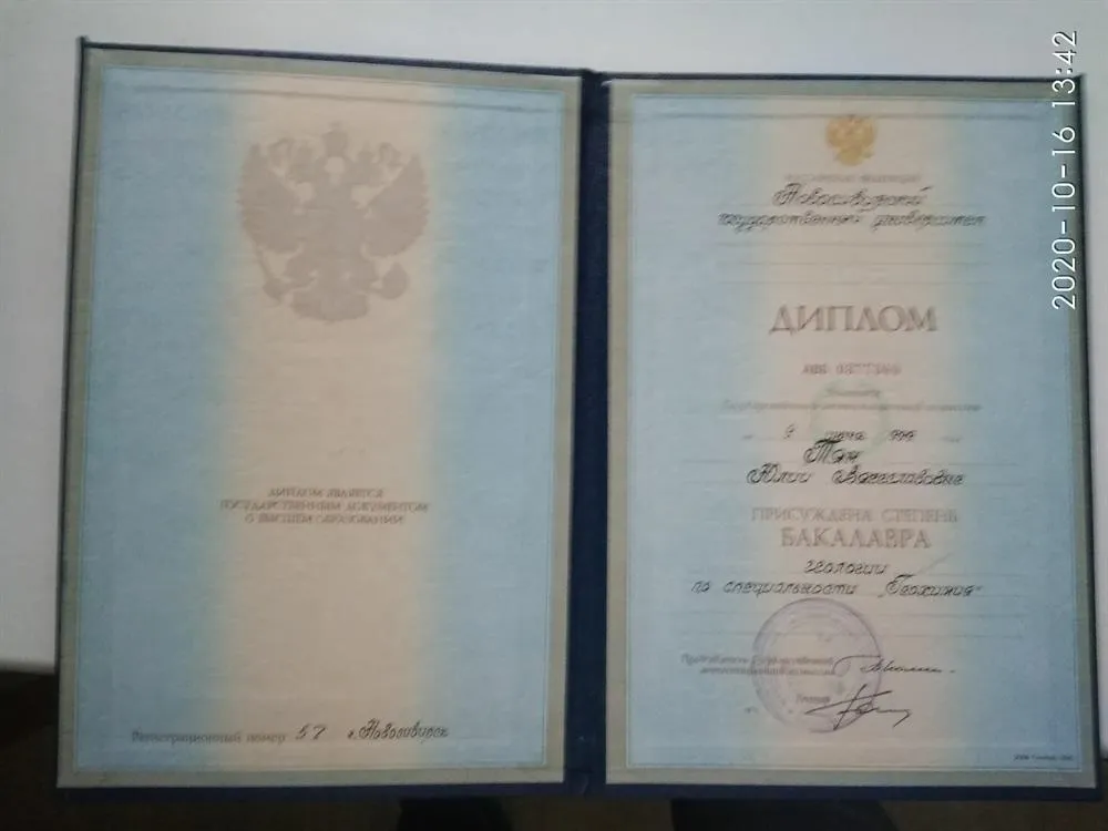 Диплом бакалавра, НГУ