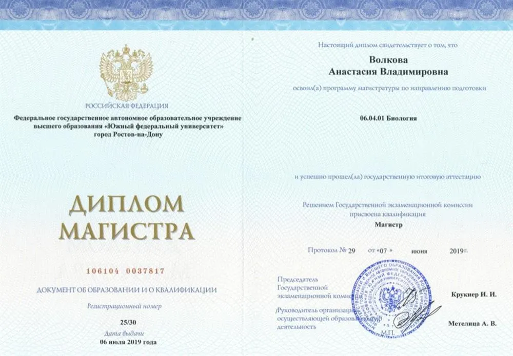 Диплом магистратура 