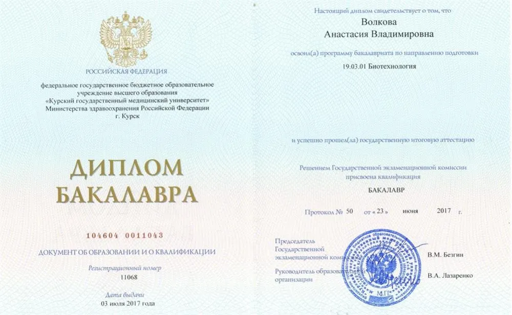 Диплом бакалавра 
