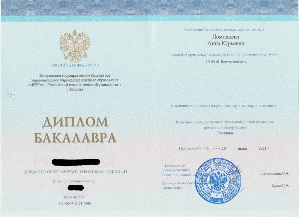 Аттестат о высшем образовании 