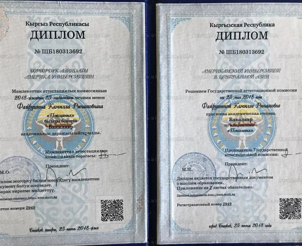 Диплом психолога (бакалавр)