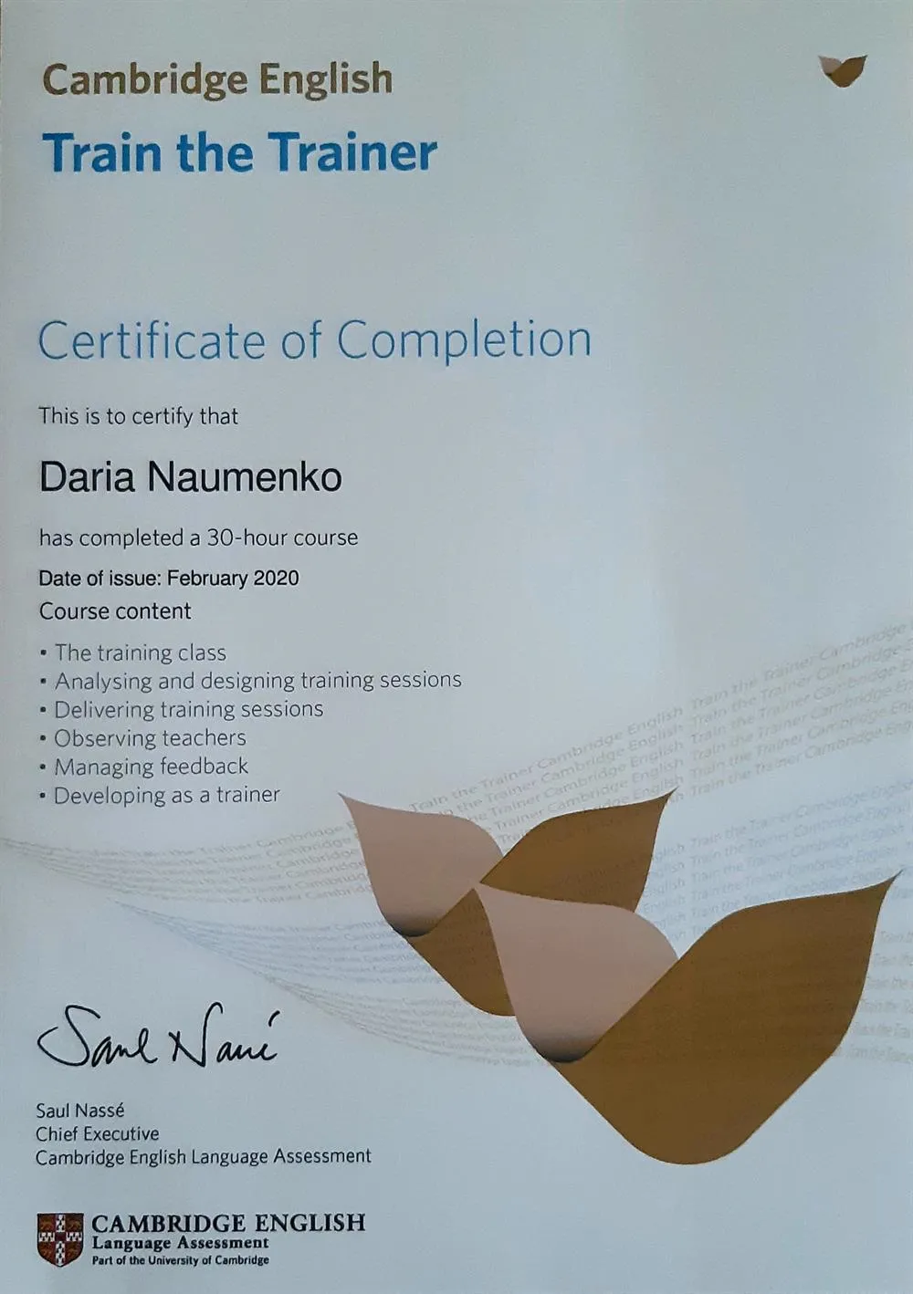Сертификат Cambridge Train the Trainer
