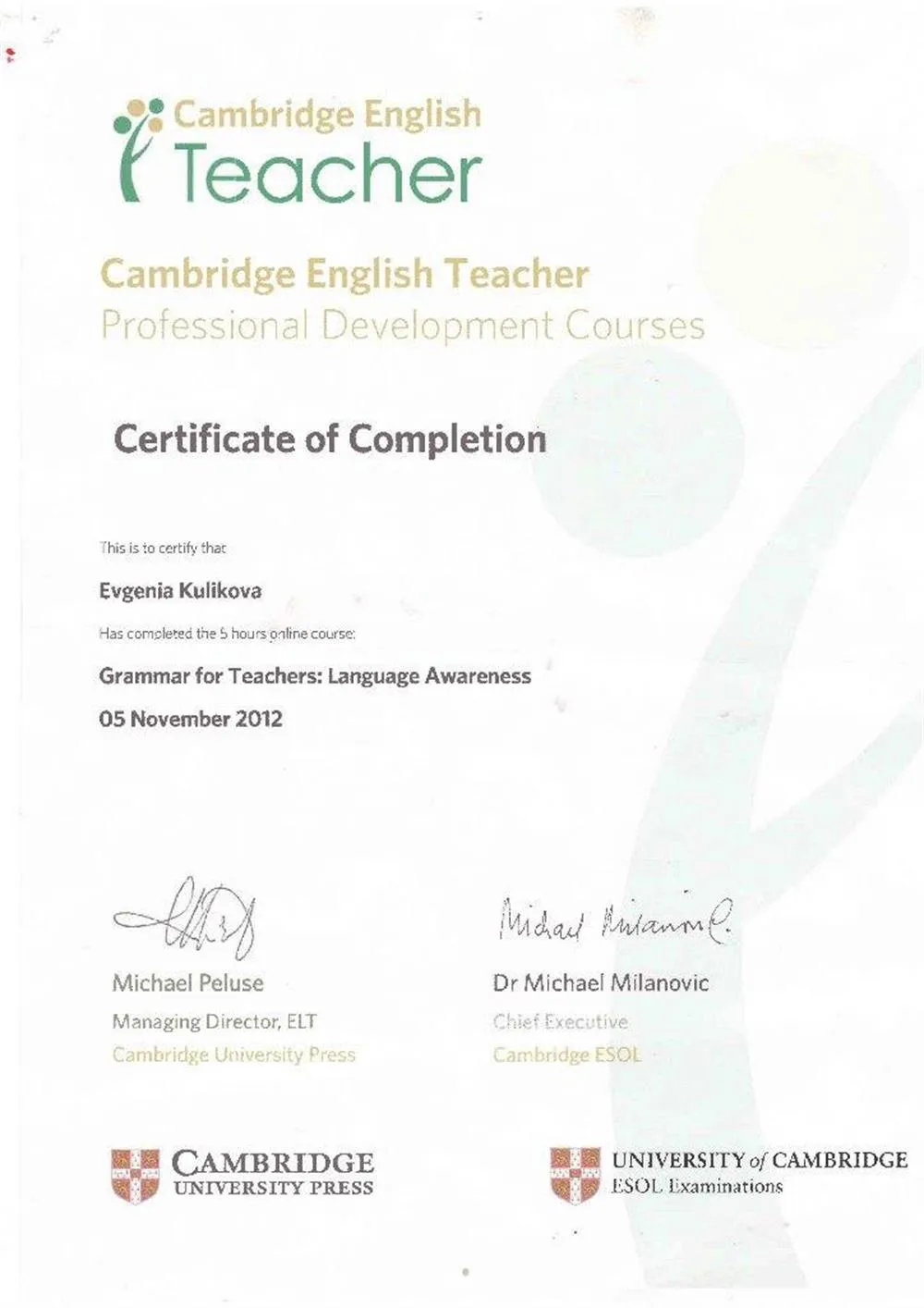 Сертификат об окончании курса повышения квалификации от Cambridge University Press