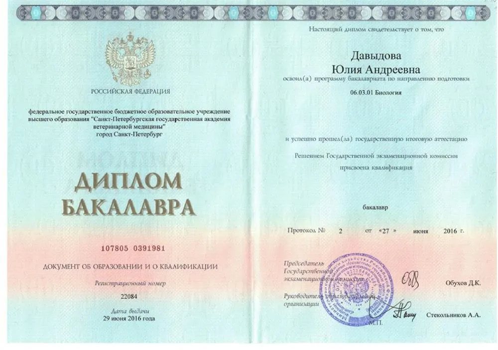 Диплом Бакалавра