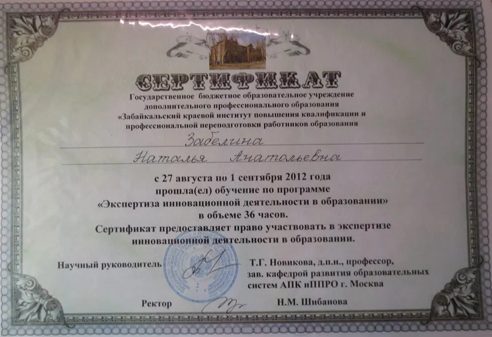 Сертификат обучения по программе "Экспертиза инновационной деятельности в образовании"