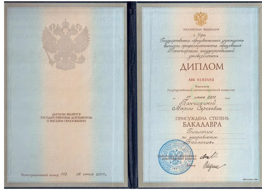 Диплом бакалавра