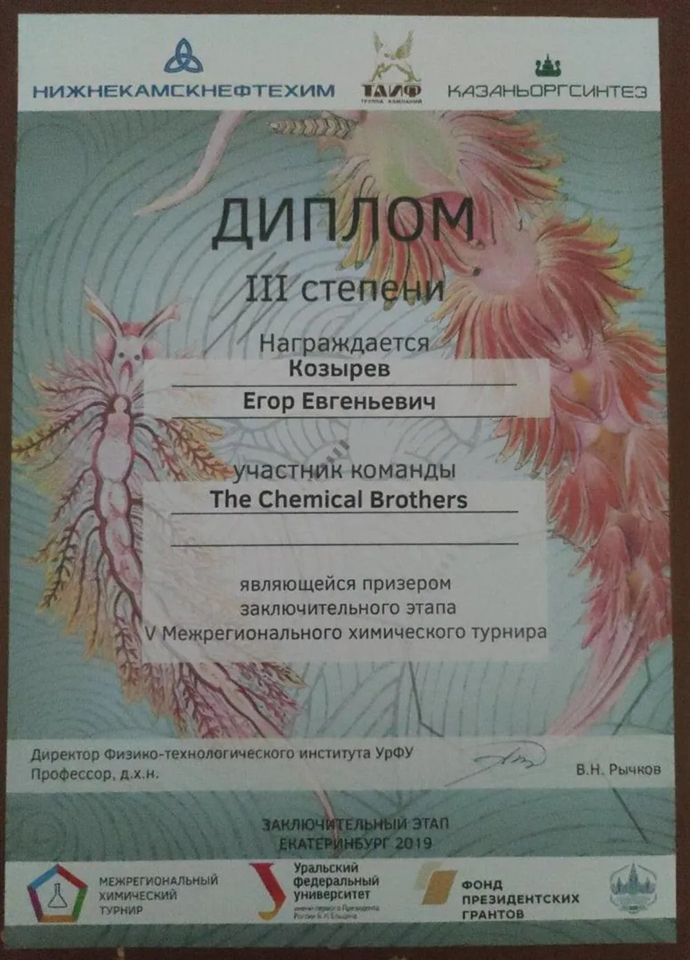 Диплом победителя Межрегионального химического турнира