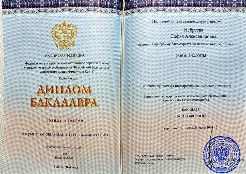 Диплом бакалавра "Биология"
