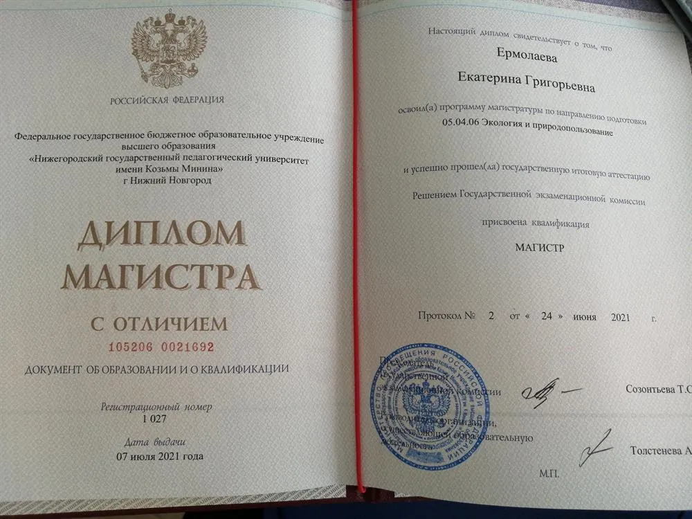 Диплом магистра 
