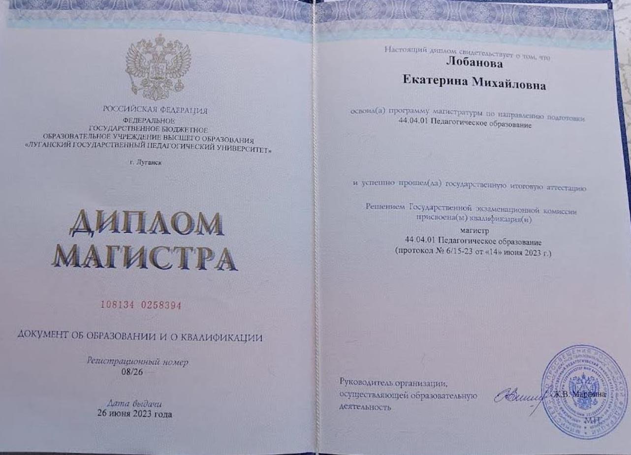 Диплом магистратуры