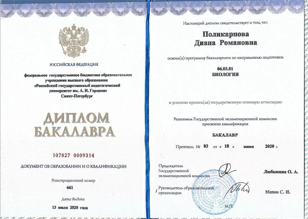Диплом