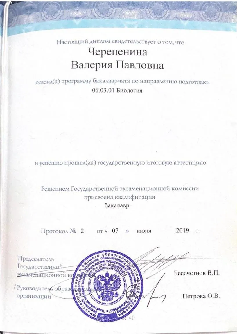 Диплом бакалавра 2 стр