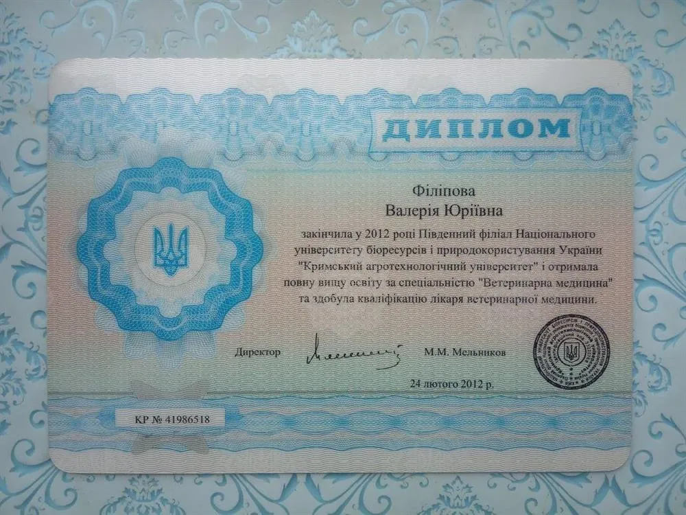 Диплом. Первое высшее в ЮФ КАТУ НАУ