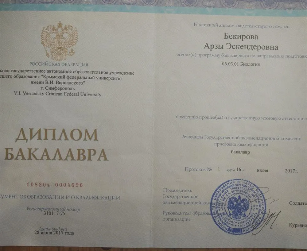 Диплом Бакалавра