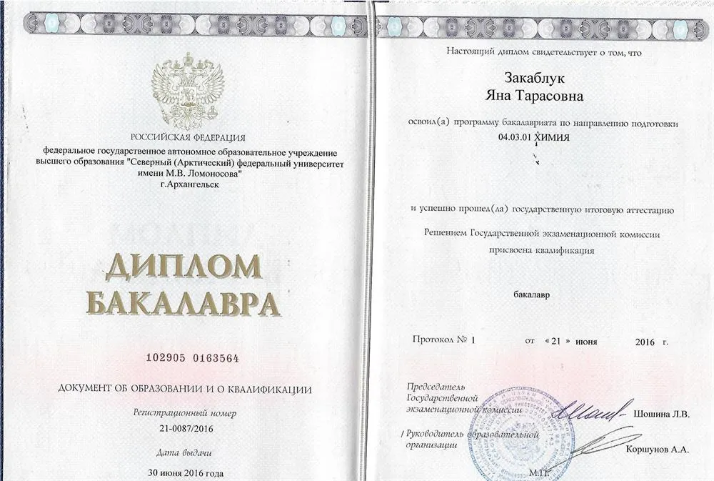 Диплом бакалавра