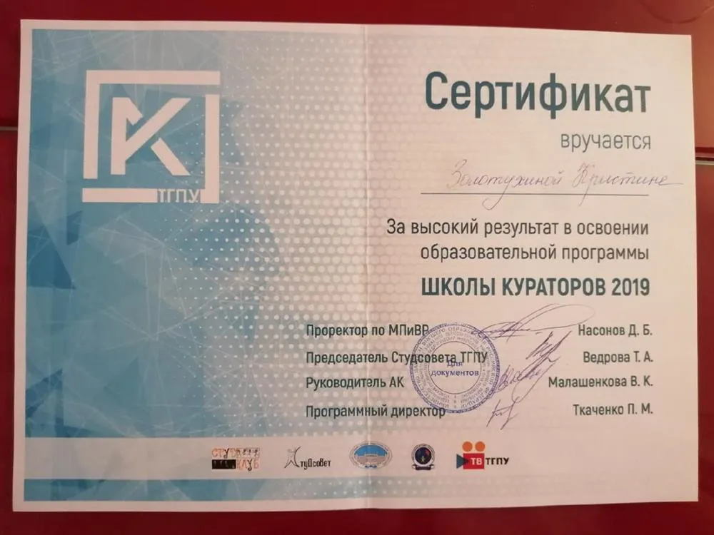 Сертификат за высокий результат в освоении образовательной программы "школа кураторов 2019"