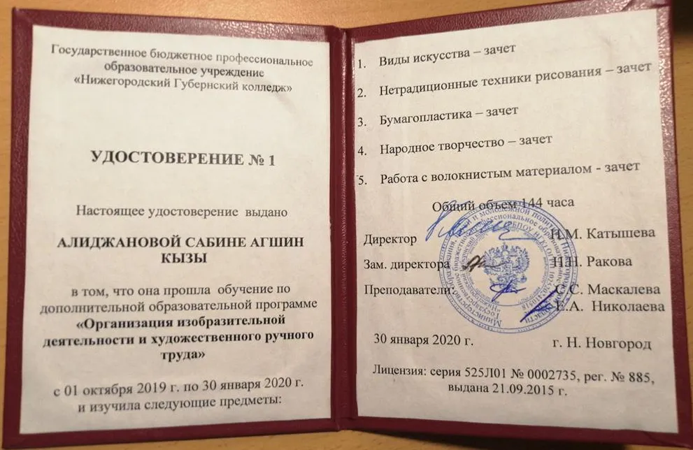 Организация изобразительной деятельности и художественного ручного труда