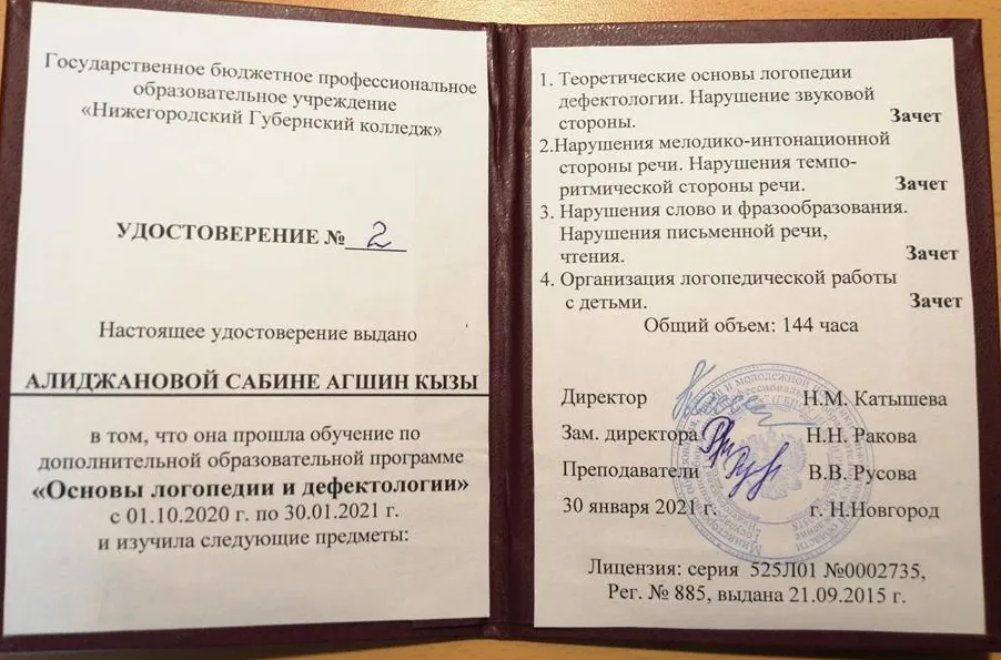 Основы логопедии и дефектологии