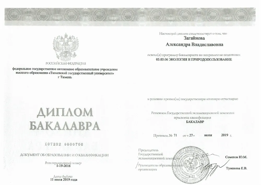 Диплом бакалавра
