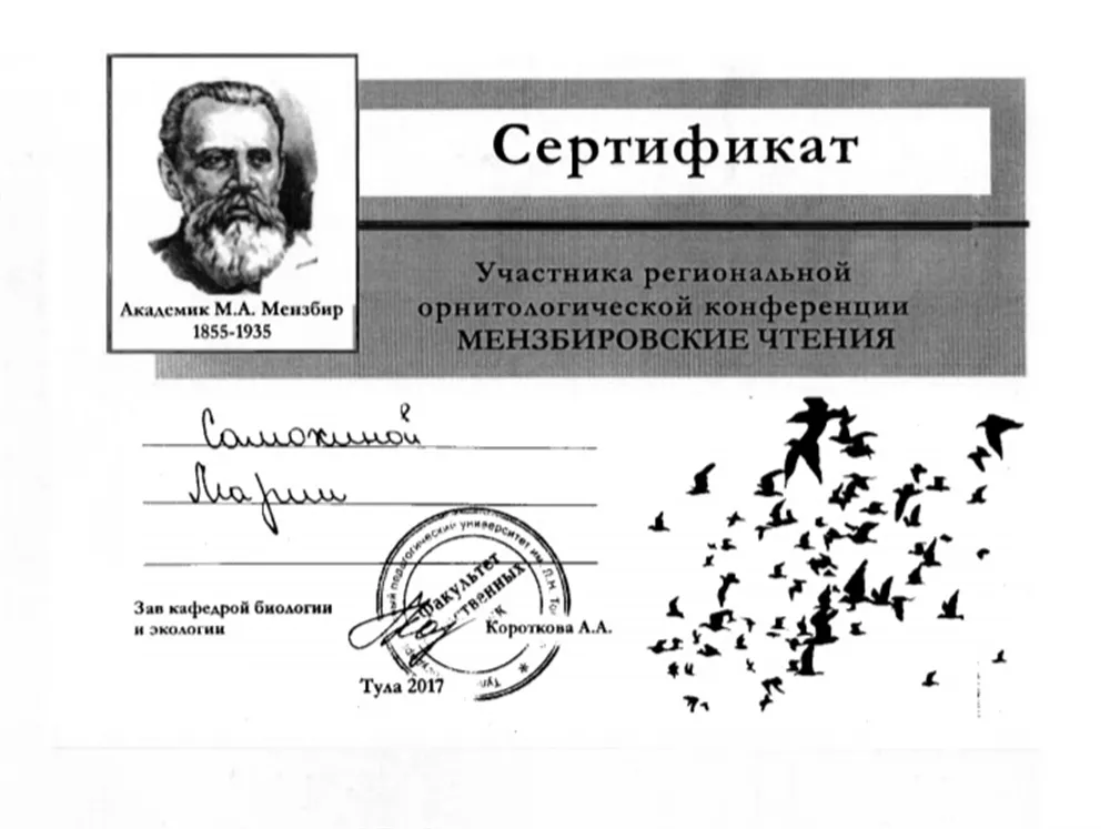 Сертификат 