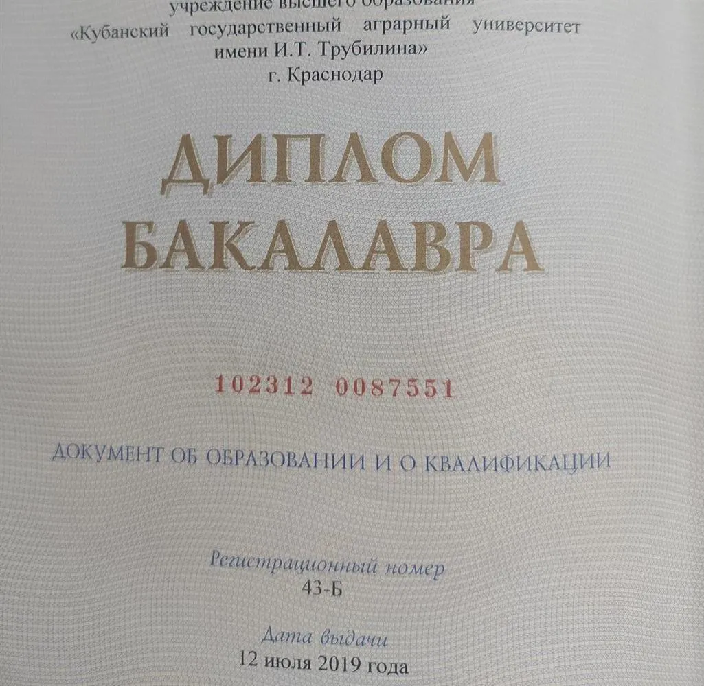 Диплом бакалавра