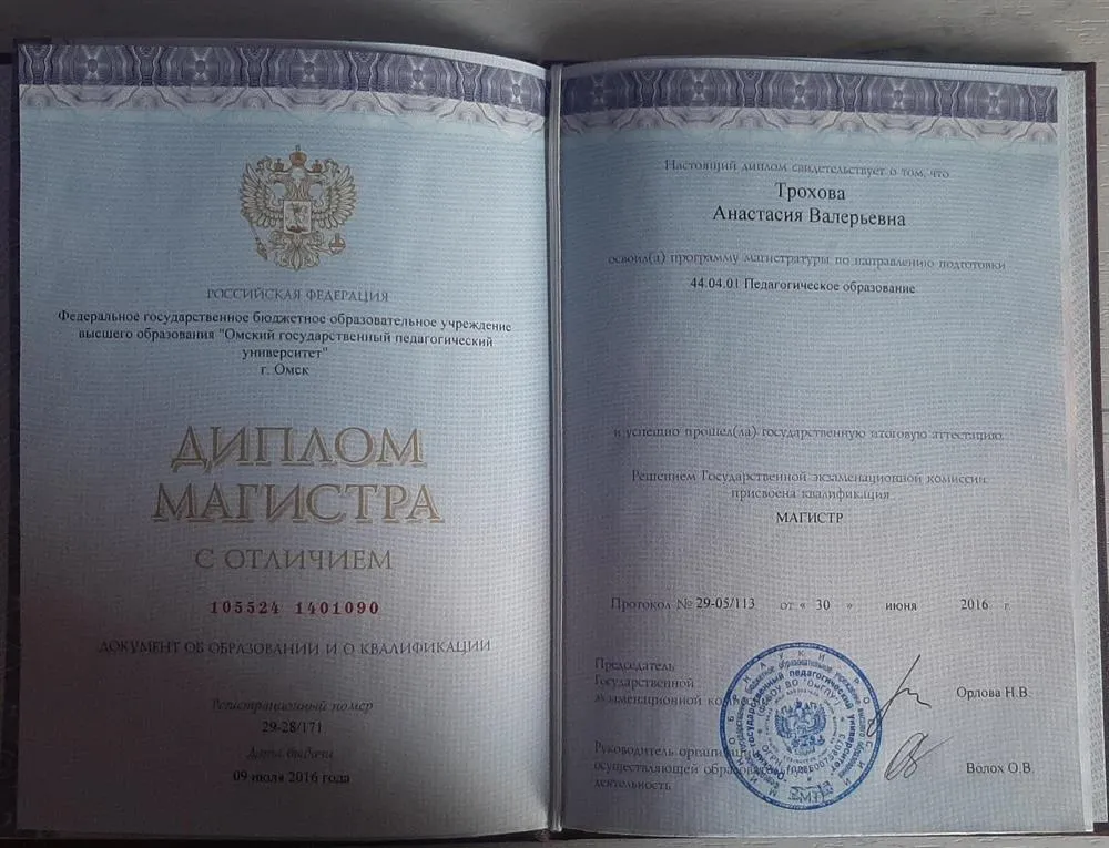 Диплом магистра педагогики