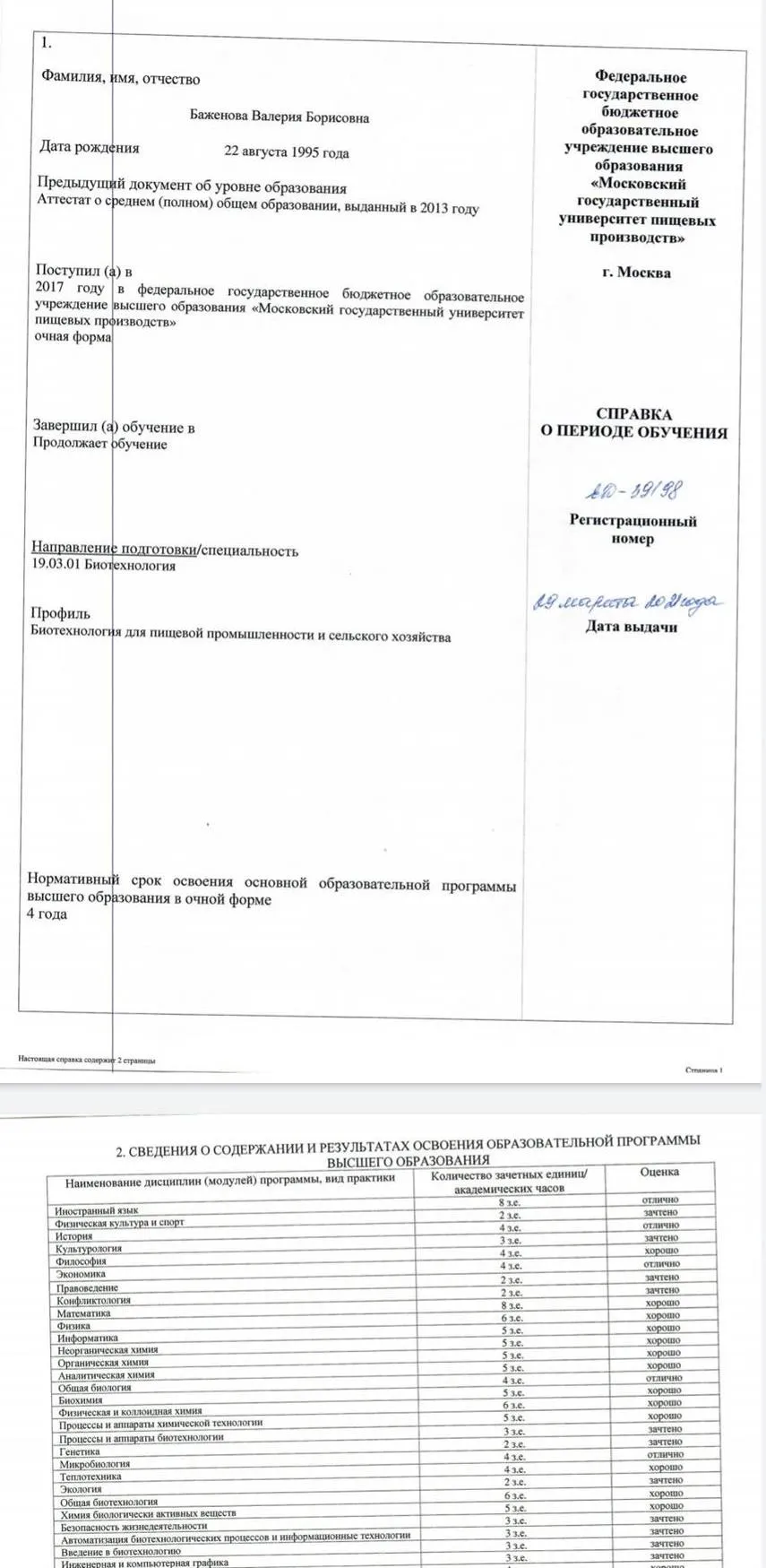 Справка с университета 