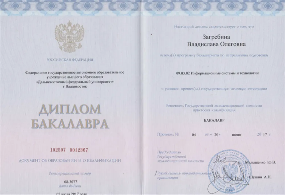 Бакалавриат