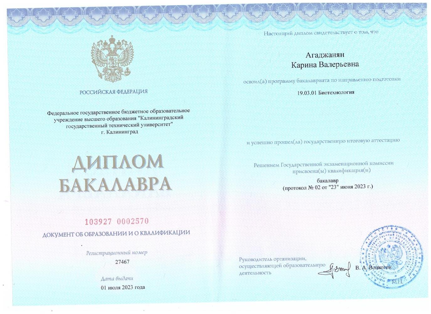 Диплом о высшем образовании 