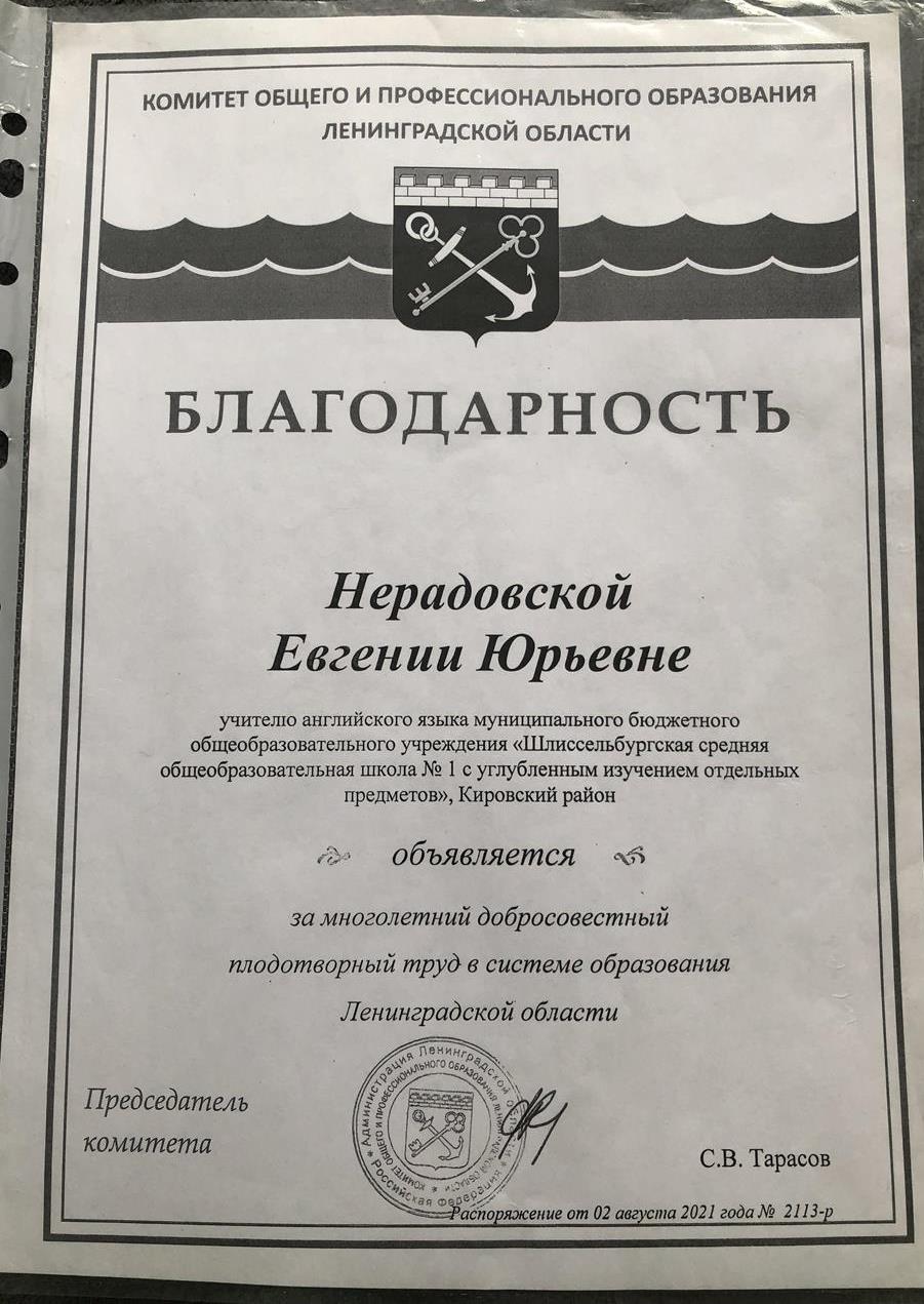 Благодарность комитета общего и профессионального образования Ленинградской области 